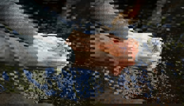 Händer som lyfter vatten ur ett vattendrag.