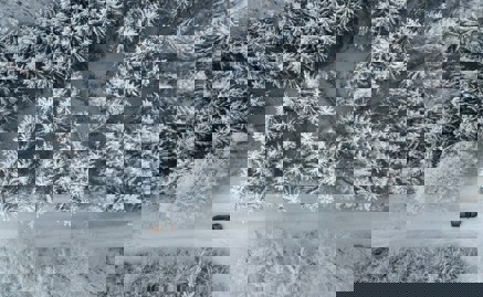 Drönarbild på vintrigt skogslandskap med en väg där en bil kör.